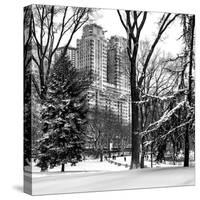 Central Park in the Snow-Philippe Hugonnard-Stretched Canvas