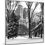 Central Park in the Snow-Philippe Hugonnard-Mounted Photographic Print