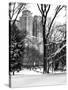 Central Park in the Snow-Philippe Hugonnard-Stretched Canvas