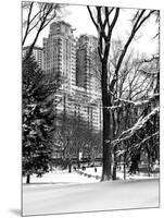 Central Park in the Snow-Philippe Hugonnard-Mounted Photographic Print