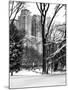 Central Park in the Snow-Philippe Hugonnard-Mounted Premium Photographic Print