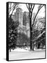 Central Park in the Snow-Philippe Hugonnard-Framed Stretched Canvas