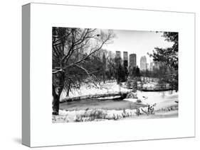 Central Park in the Snow-Philippe Hugonnard-Stretched Canvas