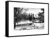 Central Park in the Snow-Philippe Hugonnard-Framed Stretched Canvas