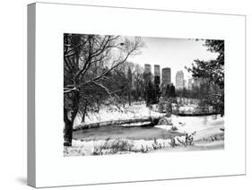 Central Park in the Snow-Philippe Hugonnard-Stretched Canvas