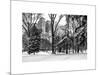 Central Park in the Snow-Philippe Hugonnard-Mounted Art Print