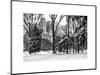 Central Park in the Snow-Philippe Hugonnard-Mounted Art Print