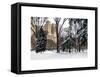 Central Park in the Snow-Philippe Hugonnard-Framed Stretched Canvas