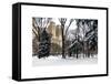 Central Park in the Snow-Philippe Hugonnard-Framed Stretched Canvas