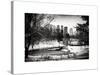 Central Park in the Snow-Philippe Hugonnard-Stretched Canvas