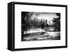 Central Park in the Snow-Philippe Hugonnard-Framed Stretched Canvas