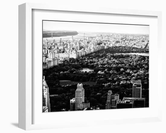 Central Park in the Summer and Sunset, Landscape, Manhattan, New York, Black and White Photography-Philippe Hugonnard-Framed Premium Photographic Print