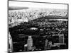 Central Park in the Summer and Sunset, Landscape, Manhattan, New York, Black and White Photography-Philippe Hugonnard-Mounted Photographic Print