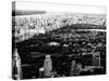 Central Park in the Summer and Sunset, Landscape, Manhattan, New York, Black and White Photography-Philippe Hugonnard-Stretched Canvas