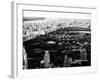 Central Park in the Summer and Sunset, Landscape, Manhattan, New York, Black and White Photography-Philippe Hugonnard-Framed Photographic Print