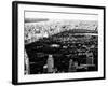 Central Park in the Summer and Sunset, Landscape, Manhattan, New York, Black and White Photography-Philippe Hugonnard-Framed Photographic Print