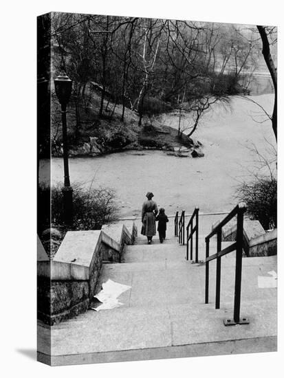 Central Park in Winter, c.1953-64-Nat Herz-Stretched Canvas