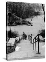 Central Park in Winter, c.1953-64-Nat Herz-Stretched Canvas