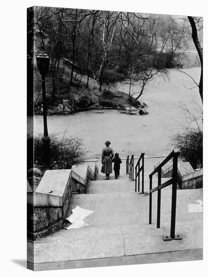 Central Park in Winter, c.1953-64-Nat Herz-Stretched Canvas