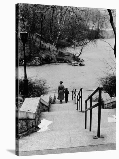 Central Park in Winter, c.1953-64-Nat Herz-Stretched Canvas