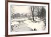 Central Park in Winter, New York City-null-Framed Art Print