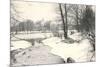 Central Park in Winter, New York City-null-Mounted Art Print