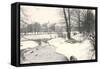 Central Park in Winter, New York City-null-Framed Stretched Canvas