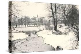 Central Park in Winter, New York City-null-Stretched Canvas