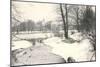 Central Park in Winter, New York City-null-Mounted Art Print