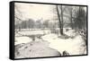 Central Park in Winter, New York City-null-Framed Stretched Canvas