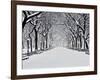 Central Park in Winter-Rudy Sulgan-Framed Art Print