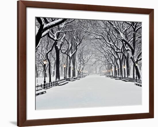 Central Park in Winter-Rudy Sulgan-Framed Art Print