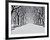 Central Park in Winter-Rudy Sulgan-Framed Art Print