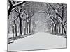 Central Park in Winter-Rudy Sulgan-Mounted Art Print