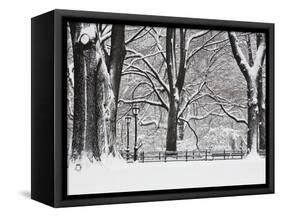 Central Park in Winter-Rudy Sulgan-Framed Stretched Canvas