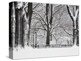 Central Park in Winter-Rudy Sulgan-Stretched Canvas