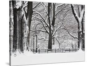 Central Park in Winter-Rudy Sulgan-Stretched Canvas