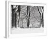 Central Park in Winter-Rudy Sulgan-Framed Premium Photographic Print