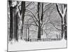 Central Park in Winter-Rudy Sulgan-Mounted Premium Photographic Print