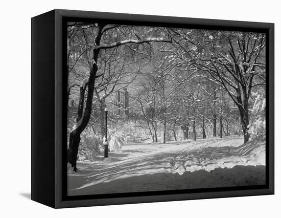 Central Park in Winter-Bettmann-Framed Stretched Canvas