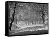 Central Park in Winter-Bettmann-Framed Stretched Canvas