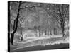 Central Park in Winter-Bettmann-Stretched Canvas