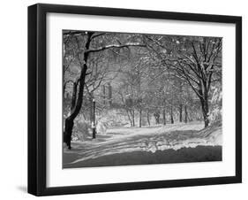 Central Park in Winter-Bettmann-Framed Premium Photographic Print