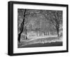 Central Park in Winter-Bettmann-Framed Premium Photographic Print