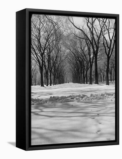 Central Park in Winter-null-Framed Stretched Canvas