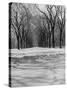 Central Park in Winter-null-Stretched Canvas