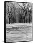 Central Park in Winter-null-Framed Stretched Canvas