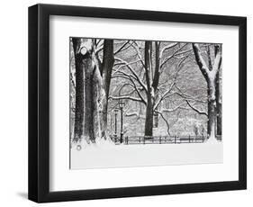 Central Park in Winter-Rudy Sulgan-Framed Photographic Print