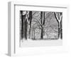 Central Park in Winter-Rudy Sulgan-Framed Photographic Print