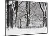 Central Park in Winter-Rudy Sulgan-Mounted Photographic Print